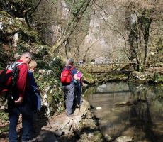 Proti izviru temenice